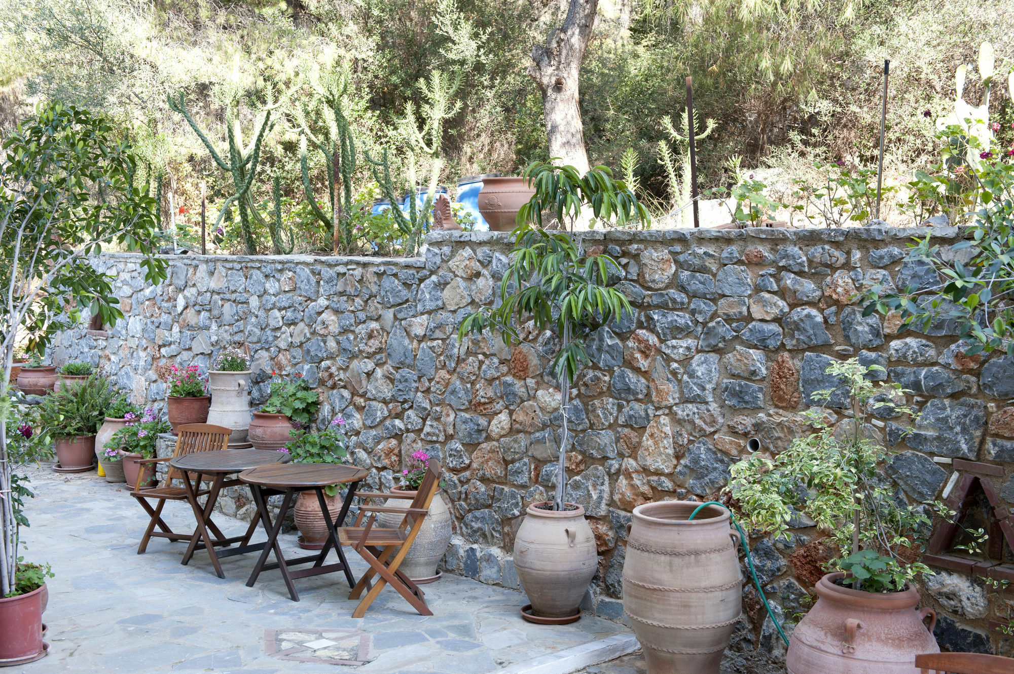Panorama Apartments Poros Town Dış mekan fotoğraf